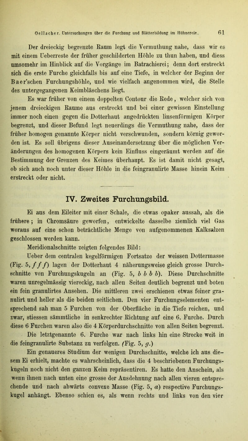 Der dreieckig begrenzte Raum legt die Vermuthung nahe, dass wir es mit einem Ueberreste der früher geschilderten Höhle zu thun haben, und diess umsomehr im Hinblick auf die Vorgänge im Batrachierei; denn dort erstreckt sich die erste Furche gleichfalls bis auf eine Tiefe, in welcher der Beginn der Baer’schen Furchungshöhle, und wie vielfach angenommen wird, die Stelle des untergegangenen Keimbläschens liegt. Es war früher von einem doppelten Contour die Rede, welcher sich von jenem dreieckigen Raume aus erstreckt und bei einer gewissen Einstellung immer noch einen gegen die Dotterhaut angedrückten linsenförmigen Körper begrenzt, und dieser Befund legt neuerdings die Vermuthung nahe, dass der früher homogen genannte Körper nicht verschwunden, sondern körnig gewor- den ist. Es soll übrigens dieser Auseinandersetzung über die möglichen Ver- änderungen des homogenen Körpers kein Einfluss eingeräumt werden auf die Bestimmung der Grenzen des Keimes überhaupt. Es ist damit nicht gesagt, ob sich auch noch unter dieser Höhle in die feingranulirte Masse hinein Keim erstreckt oder nicht. IV. Zweites Furchungsbild. Ei aus dem Eileiter mit einer Schale, die etwas opaker aussah, als die frühere ; in Chromsäure geworfen, entwickelte dasselbe ziemlich viel Gas woraus auf eine schon beträchtliche Menge von aufgenommenen Kalksalzen geschlossen werden kann. Meridionalschnitte zeigten folgendes Bild: Ueber dem centralen kegelförmigen Fortsatze der weissen Dottermasse (Fig. 5, ///) lagen der Dotterhaut 4 näherungsweise gleich grosse Durch- schnitte von Furchungskugeln an (Fig. 5, b b b b). Diese Durchschnitte waren unregelmässig viereckig, nach allen Seiten deutlich begrenzt und boten ein fein granulirtes Ansehen. Die mittleren zwei erschienen etwas feiner gra- nulirt und heller als die beiden seitlichen. Den vier Furchungselementen ent- sprechend sah man 5 Furchen von der Oberfläche in die Tiefe reichen, und zwar, stiessen sämmtliche in senkrechter Richtung auf eine 6. Furche. Durch diese 6 Furchen waren also die 4 Körperdurchschnitte von allen Seiten begrenzt. Die letztgenannte 6. Furche war nach links hin eine Strecke weit in die feingranulirte Substanz zu verfolgen. fFig. 5, g.) Ein genaueres Studium der wenigen Durchschnitte, welche ich aus die- sem Ei erhielt, machte es wahrscheinlich, dass die 4 beschriebenen Furchungs- kugeln noch nicht den ganzen Keim repräsentiren. Es hatte den Anschein, als wenn ihnen nach unten eine grosserer Ausdehnung nach allen vieren entspre- chende und nach abwärts convexe Masse (Fig. 5, a) respective Furchungs- kugel anhängt. Ebenso schien es, als wenn rechts und links von den vier