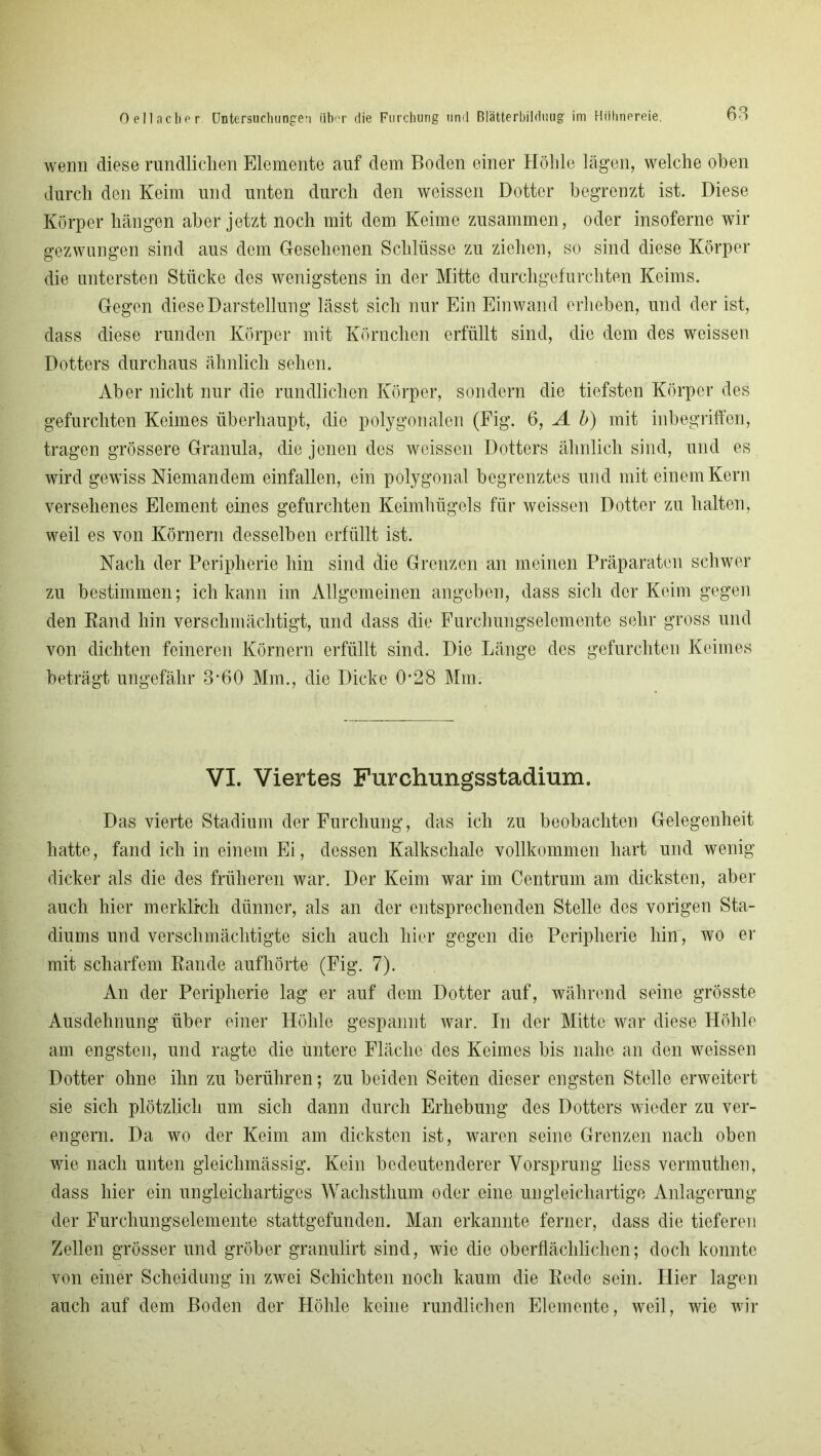 wenn diese rundlichen Elemente auf dem Boden einer Höhle lägen, welche oben durch den Keim und unten durch den weissen Dotter begrenzt ist. Diese Körper hängen aber jetzt noch mit dem Keime zusammen, oder insoferne wir gezwungen sind aus dem Gesehenen Schlüsse zu ziehen, so sind diese Körper die untersten Stücke des wenigstens in der Mitte durchgefurchten Keims. Gegen diese Darstellung lässt sich nur Ein Einwand erheben, und der ist, dass diese runden Körper mit Körnchen erfüllt sind, die dem des weissen Dotters durchaus ähnlich sehen. Aber nicht nur die rundlichen Körper, sondern die tiefsten Körper des gefurchten Keimes überhaupt, die polygonalen (Fig. 6, A b) mit inbegriffen, tragen grössere Granula, die jenen des weissen Dotters ähnlich sind, und es wird gewiss Niemandem einfallen, ein polygonal begrenztes und mit einem Kern versehenes Element eines gefurchten Keimhügels für weissen Dotter zu halten, weil es von Körnern desselben erfüllt ist. Nach der Peripherie hin sind die Grenzen an meinen Präparaten schwer zu bestimmen; ich kann im Allgemeinen angeben, dass sich der Keim gegen den Rand hin verschmächtigt, und dass die Furchungselemente sehr gross und von dichten feineren Körnern erfüllt sind. Die Länge des gefurchten Keimes beträgt ungefähr 3*60 Mm., die Dicke 0-28 Mm. VI. Viertes Furchungsstadium. Das vierte Stadium der Furchung, das ich zu beobachten Gelegenheit hatte, fand ich in einem Ei, dessen Kalkschale vollkommen hart und wenig dicker als die des früheren war. Der Keim war im Centrum am dicksten, aber auch hier merklich dünner, als an der entsprechenden Stelle des vorigen Sta- diums und verschmächtigte sich auch hier gegen die Peripherie hin, wo er mit scharfem Rande aufhörte (Fig. 7). An der Peripherie lag er auf dem Dotter auf, während seine grösste Ausdehnung über einer Höhle gespannt war. In der Mitte war diese Höhle am engsten, und ragte die untere Fläche des Keimes bis nahe an den weissen Dotter ohne ihn zu berühren; zu beiden Seiten dieser engsten Stelle erweitert sie sich plötzlich um sich dann durch Erhebung des Dotters wieder zu ver- engern. Da wo der Keim am dicksten ist, waren seine Grenzen nach oben wie nach unten gleiclimässig. Kein bedeutenderer Vorsprung liess vermuthen, dass hier ein ungleichartiges Wachsthum oder eine ungleichartige Anlagerung der Furchungselemente stattgefunden. Man erkannte ferner, dass die tieferen Zellen grösser und gröber granulirt sind, wie die oberflächlichen; doch konnte von einer Scheidung in zwei Schichten noch kaum die Rede sein. Hier lagen auch auf dem Boden der Höhle keine rundlichen Elemente, weil, wie wir