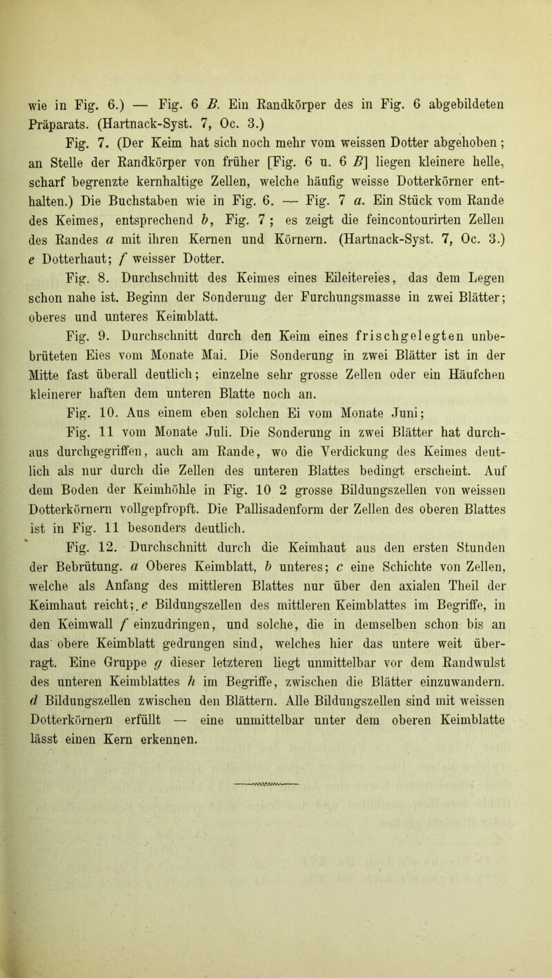 Präparats. (Hartnack-Syst. 7, Oc. 3.) Fig. 7. (Der Keim hat sich noch mehr vom weissen Dotter abgehoben ; an Stelle der Randkörper von früher [Fig. 6 n. 6 Z?] liegen kleinere helle, scharf begrenzte kernhaltige Zellen, welche häufig weisse Dotterkörner ent- halten.) Die Buchstaben wie in Fig. 6. — Fig. 7 a. Ein Stück vom Rande des Keimes, entsprechend b, Fig. 7 ; es zeigt die feineontourirten Zellen des Randes a mit ihren Kernen und Körnern. (Hartnack-Syst. 7, Oc. 3.) e Dotterhaut; f weisser Dotter. Fig. 8. Durchschnitt des Keimes eines Eileitereies, das dem Legen schon nahe ist. Beginn der Sonderung der Furchungsmasse in zwei Blätter; oberes und unteres Keimblatt. Fig. 9. Durchschnitt durch den Keim eines frischgelegten unbe- brüteten Eies vom Monate Mai. Die Sonderung in zwei Blätter ist in der Mitte fast überall deutlich; einzelne sehr grosse Zellen oder ein Häufchen kleinerer haften dem unteren Blatte noch an. Fig. 10. Aus einem eben solchen Ei vom Monate Juni; Fig. 11 vom Monate Juli. Die Sonderung in zwei Blätter hat durch- aus durchgegriffen, auch am Rande, wo die Verdickung des Keimes deut- lich als nur durch die Zellen des unteren Blattes bedingt erscheint. Auf dem Boden der Keimhöhle in Fig. 10 2 grosse Bildungszellen von weissen Dotterkörnern vollgepfropft. Die Pallisadenform der Zellen des oberen Blattes ist in Fig. 11 besonders deutlich. Fig. 12. Durchschnitt durch die Keimhaut aus den ersten Stunden der Bebrütung, a Oberes Keimblatt, b unteres; c eine Schichte von Zellen, welche als Anfang des mittleren Blattes nur über den axialen Theil der Keimhaut reicht;.e Bildungszellen des mittleren Keimblattes im Begriffe, in den Keimwall f einzudringen, und solche, die in demselben schon bis an das obere Keimblatt gedrungen sind, welches hier das untere weit über- ragt. Eine Gruppe g dieser letzteren liegt unmittelbar vor dem Randwulst des unteren Keimblattes h im Begriffe, zwischen die Blätter einzuwandern. d Bildungszellen zwischen den Blättern. Alle Bildungszellen sind mit weissen Dotterkörnern erfüllt — eine unmittelbar unter dem oberen Keimblatte lässt einen Kern erkennen.