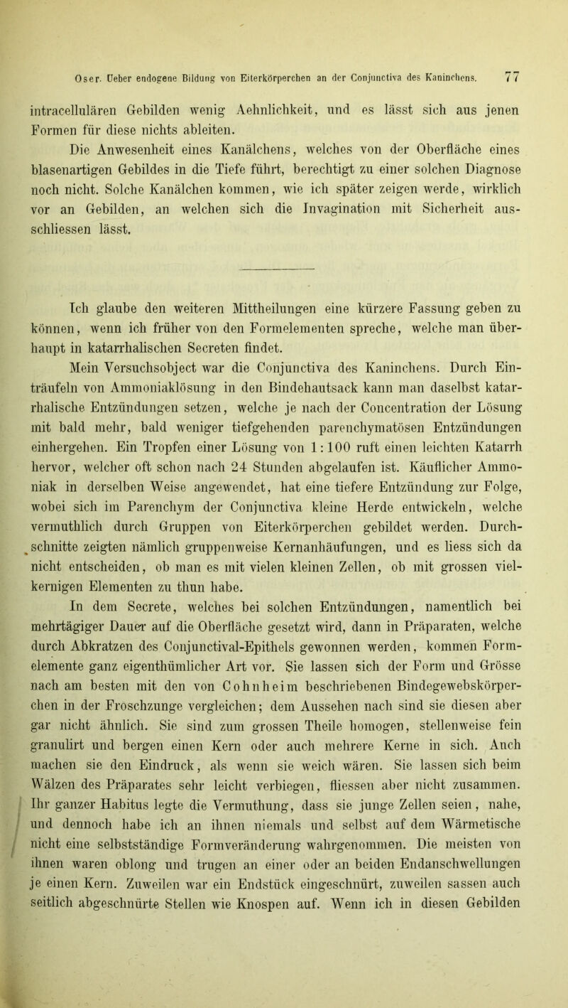 intracellulären Gebilden wenig Aehnlichkeit, und es lässt sich aus jenen Formen für diese nichts ableiten. Die Anwesenheit eines Kanälchens, welches von der Oberfläche eines blasenartigen Gebildes in die Tiefe führt, berechtigt zu einer solchen Diagnose noch nicht. Solche Kanälchen kommen, wie ich später zeigen werde, wirklich vor an Gebilden, an welchen sich die Invagination mit Sicherheit aus- schliessen lässt. Ich glaube den weiteren Mittheilungen eine kürzere Fassung geben zu können, wenn ich früher von den Formelementen spreche, welche man über- haupt in katarrhalischen Secreten findet. Mein Versuchsobject war die Conjunctiva des Kaninchens. Durch Ein- träufeln von Ammoniaklösung in den Bindehautsack kann man daselbst katar- rhalische Entzündungen setzen, welche je nach der Concentration der Lösung mit bald mehr, bald weniger tiefgehenden parenchymatösen Entzündungen einhergehen. Ein Tropfen einer Lösung von 1:100 ruft einen leichten Katarrh hervor, welcher oft schon nach 24 Stunden abgelaufen ist. Käuflicher Ammo- niak in derselben Weise angewendet, hat eine tiefere Entzündung zur Folge, wobei sich im Parenchym der Conjunctiva kleine Herde entwickeln, welche vermuthlich durch Gruppen von Eiterkörperchen gebildet werden. Durch- . schnitte zeigten nämlich gruppenweise Kernanhäufungen, und es liess sich da nicht entscheiden, ob man es mit vielen kleinen Zellen, ob mit grossen viel- kernigen Elementen zu thun habe. In dem Secrete, welches bei solchen Entzündungen, namentlich bei mehrtägiger Dauer auf die Oberfläche gesetzt wird, dann in Präparaten, welche durch Abkratzen des Conjunctival-Epithels gewonnen werden, kommen Form- elemente ganz eigenthümlicher Art vor. Sie lassen sich der Form und Grösse nach am besten mit den von Cohn heim beschriebenen Bindegewebskörper- chen in der Froschzunge vergleichen; dem Aussehen nach sind sie diesen aber gar nicht ähnlich. Sie sind zum grossen Theile homogen, stellenweise fein granulirt und bergen einen Kern oder auch mehrere Kerne in sich. Auch machen sie den Eindruck, als wenn sie weich wären. Sie lassen sich beim Wälzen des Präparates sehr leicht verbiegen, fliessen aber nicht zusammen. Ihr ganzer Habitus legte die Vermuthung, dass sie junge Zellen seien, nahe, und dennoch habe ich an ihnen niemals und selbst auf dem Wärmetische nicht eine selbstständige Formveränderung wahrgenommen. Die meisten von ihnen waren oblong und trugen an einer oder an beiden Endanschwellungen je einen Kern. Zuweilen war ein Endstück eingeschnürt, zuweilen sassen auch seitlich abgeschnürte Stellen wie Knospen auf. Wenn ich in diesen Gebilden