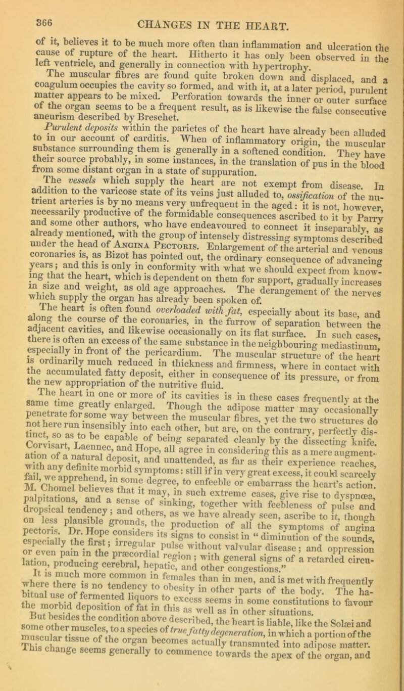of It, believes it to be much more often than inflammation and ulceration the cause of rupture of the heart. Hitherto it has only been observed in the lett ventricle, and generally in connection with hypertrophy. The muscular fibres are found quite broken down and displaced and a coagulum occupies the cavity so formed, and with it, at a later period purulent matter appears to be mixed. Perforation towards the inner or outer surface of the organ seems to be a frequent result, as is likewise the false consecutive aneurism described by Breschet. Purulent deposits within the parietes of the heart have already been alluded to in our account of carditis. When of inflammatory origin, the muscular substance surrounding them is generally in a softened condition. They have their source probably, in some instances, in the translation of pus in the^blood from some distant organ in a state of suppuration. ^ The vesseb which supply the heart are not exempt from disease In addition to the varicose state of its veins just aUuded to, ossification of the mi- trient arteries is by no means very unfrequent in the aged: it is not, however necessarily productive of the formidable consequences ascribed to it by Parry and some other authors, who have endeavoured to connect it inseparably as already mentioned, with the group of intensely distressing symptoms described ^der the head of Angina Pectoris. Enlargement of the Jrterial and venous coronaries IS, as Bizot has pointed out, the ordinary consequence of advancing “.conformity with what wc should expect from know? ing that the heart, which is dependent on them for support, gradually increases m size and weight, as old age approaches. The derangement of the neryS which supply the organ has already been spoken of. The heart is often found overloaded with fat, especially about its base and along the course of the coronaries, in the furrow of separation between the adjacent cavities, and likewise occasionally on its flat surface. In such cases there IS often an excess of the same substance in the neighbouring mediastinum’ especially in front of the pericardium. The muscular structu?e of the S is ordinarily much reduced in thickness and firmness, where in contact with the accumulated fatty deposit, either in consequence of its pressure, or from the new appropriation of the nutritive fluid. ^ cavities is in these cases frequently at the TiPTiPtr gi*eatly enlarged. Though tlie adipose matter may occasionally penetrate for some way between the muscular fibres, yet the two structures do the contrary” perfccriy dis- CorvisTrrLLnL”''^''^^separated cleanly by the disLting knife. at?on S n’w 1 all agree in considering this asamereaugment- with nnt ft deposit, and unattended, as far as their experience reaches S we Lprehel^^^^ coukl scarcely M ’choS beW^tW embarrass the heart’s action . t^tiomel believes that it may, in such extreme cases, give rise to dyspnoea on 1 -1.1 ^ ^ Others, as we have already seen, ascribe to it though on less plausible grounds, the production of all the symptoms of an, ?a a .etar^d Sr^ Sua7ut'of i^oth7rTrts of ^X°hl- ihe morbid -.epositi^pS<» favour