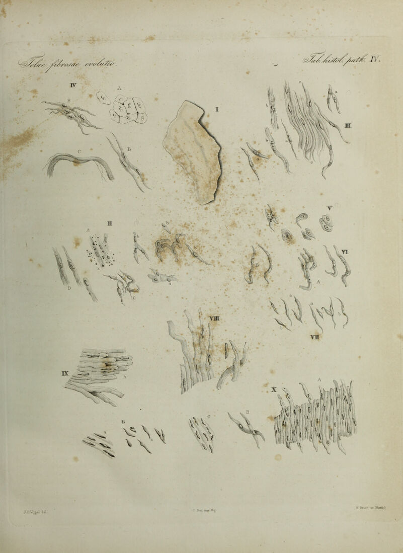 JuI A^^ei dei. r Berg impr Nbg H Bruch. 3c. Siimb^