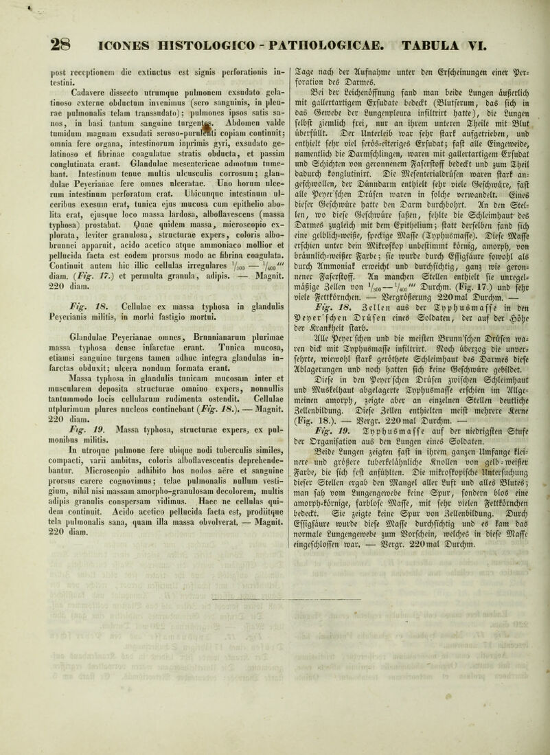 |)OSt leccptionein die extinctus est signis perforationis in- testini. Cadavere dissecto ntriimque pnlinonem exsudato gela- tinoso externe obductum invenimus (sero sanguinis, in pleu- rae pulmonalis telam transsudato); pulmones ij)SOS satis sa- nos, in basi tantum sanguine turgenj^. Abdomen valde tumidum magnam exsudati seroso-purulWti copiam continnitj omnia fere organa, intestinorum inprimis gyri, exsudato ge- latinoso et fibrinae coagulatae stratis obducta, ct passim conglutinata erant. Glandulae mesentericae admotum tume- bant. Intestinum tenue multis ulcusculis corrosum; glan- dulae Peyerianae fere omnes ulceratae. Uno horum ulce- rum intestinum perforatum erat. Ubicunque intestinum ul- ceribus exesum erat, tunica ejus mucosa cum epithelio abo- lita erat, ejusque loco massa lardosa, alboflavescens (massa typhosa) prostabat. Quae quidem massa, niicroscopio ex- plorata, leviter granulosa, structurae expers, coloris albo- brunnei apparuit, acido acetico atque ammoniaco mollior et pellucida facta est eodem prorsus modo ac fibrina coagulata. Continuit autem hic illic cellulas irregulares Y300 — diam. {Ftg. 17.) et permulta granula, adipis. — Magnit. 220 diam. Fig. 18. Cellulae ex massa typhosa in glandulis Peyerianis militis, in morbi fastigio mortui. Glandulae Peyerianae omnes, Brnnnianarum plurimae massa typhosa dense infarctae erant. Tunica mucosa, etiamsi sanguine turgens tamen adhuc integra glandulas in- farctas obduxit; ulcera nondum formata erant. 3Iassa typbosa in glandulis tunicam mucosam inter et muscularem dej)osita structurae omnino expers, nonnullis tantummodo locis cellularum rudimenta ostendit. Cellulae utplurimum plures nucleos continebant {Fig. 18.), — Magnit. 220 diam. Fig. 19. Massa typhosa, structurae expers, ex pul- monibus militis. In utroque pulmone fere ubique nodi tuberculis similes, compacti, varii ambitus, coloris alboflavescentis deprehende- bantur. Microscopio adhibito hos nodos aere et sanguine prorsus carere cognovimus; telae pulmonalis nullum vesti- gium, niliil nisi massam ainorpho-granulosam decolorem, multis adipis granulis conspersam vidimus. Haec ne cellulas qui- dem continuit. Acido acetico pellucida facta est, prodiitque tela pulmonalis sana, quam illa massa obvolverat. — Magnit. 220 diam. Sage nad) bec 3fufna^me unter ben @rfd)einungen einer ^er= foration be§ ®arme§. 33ci ber 2eid)en6ffnung fanb man beibe Sungen duperlid) mit gatlertartigem @rfubate bebedft (23futferum, baS \iö) in baö ©emebe ber 2ungenpleura infiltrirt ^atte), bie ßungen felbjb siemlid) frei, nur an ifjrem unteren Steife mit Blut überfüÜt. ^Der Unterleib mar fe^r ftarf aufgetrieben, unb entl;ielt felyr uicl feroä-eiterigeö ©rfubat; faft alle ©ingemeibe, namentlid) bie Sarmfc^lingen, maren mit gatlertartigem ©rfubat unb ©dyie^ten »on geronnenem ^aferftoff bebeeft unb jum Sljeil baburd) fonglutinirt. ^ie 91tefenteriatbrüfen maren jtarf an= gef(^moUen, ber S^ünnbarm entlyielt fe^r oiele ©efdymure, faft alle ^eper’fdyen Prüfen maren in fotd)e oermanbelt. ßineS biefer ©efc^müre lyatte ben S)arm burdybo^rt. 2fn ben @tel= len, mo biefe ©efdymüre fapen, felylte bie ©dyleimbaut'beö Sarmeä jugleid) mit bem ©pitlyelium; jlatt berfelben fanb fiel) eine gelblidy^meipe, fpecf’ige SÖtaffe (Spplyugmaffe). ^Diefe 5*)taffc erfciyien unter bem SD?ifroffop unbeftimmt fornig, amorpl;, »on brdunlid)=meiper garbe; fie mürbe burcl) ©ffigfdure fomofyt al6 bur^ 2fmmoniaf ermeielyt unb burc^fi(^tig, ganj mie geron^ nener g^aferjloff. 3fn mandyen (Stellen entlyielt fte unregeU mdpige Sellen »on Vsoo — V400' ©urclym. (Fig. 17.) unb fefyr oiele g^ettfornclyen. — Bergroperung 220 mal ®urdym. — Fig. 18. Selten auö ber Styplyugmaffe in ben ^eiyer’fc^en Prüfen eineö 0olbaten, ber auf ber .^6l;e ber ^ranf^eit ftarb. Tflle ^etyer’fdyen unb bie meiften Brunn’fclyen Prüfen ma= ren bi(f mit Siyp^uSmaffe infiltrirt. 9^ody überjog bie unoer= fe^rte, miemo^t jtarf gerottete (Sclyteim^aut beö ^armeß biefe ^fblagerungen unb nody Ratten fiel) feine ©efc^müre gebilbet. S)iefe in ben Peiyer'fdyen 35rufen jmifc^en (Sciyleimfyaut unb 9)tugfellyaut abgelagerte Siyplyuömaffe erfdyien im ?fllge= meinen amorpfy, jeigte aber an einjetnen (Stellen beutlidyc Sellenbilbung. 3!)iefe Sellen cntlyielten meift melyrere .^erne (Fig. 18.). — Bergr. 220 mal 2)urdym. — Fig. 19. Siypbuömaffe auf ber niebrigften (Stufe ber £)rganifation auö ben Hungen eineö Sotbaten. Beibe Hungen geigten fajl in ilyrem gangen Umfange flci= nere unb gropere tuberfeldlynlidye .Knollen non gelb = meiper ^arbe, bie fidy feft anfu^tten. ©ie mifroffopifdye Unterfudyung biefer ©teilen ergab ben 9)?angel aller Huft unb alles BluteS; man fa^ 00m Hungengemebe feine ©pur, fonbern btoS eine amorpty^fornige, farblofe 5D?affe, mit fe^r nieten ^ettforndyen bebeeft. ©ie geigte feine (Spur non Sellenbilbung. 3!)urdy ©ffigfdure mürbe biefe 5i)taffe burdyfidytig unb eS fam baS normale Hungengemebe gum Borfdyein, metdyeS in biefe 9)?affe eingefdytoffen mar. — Bergr. 220 mal ^urclym.