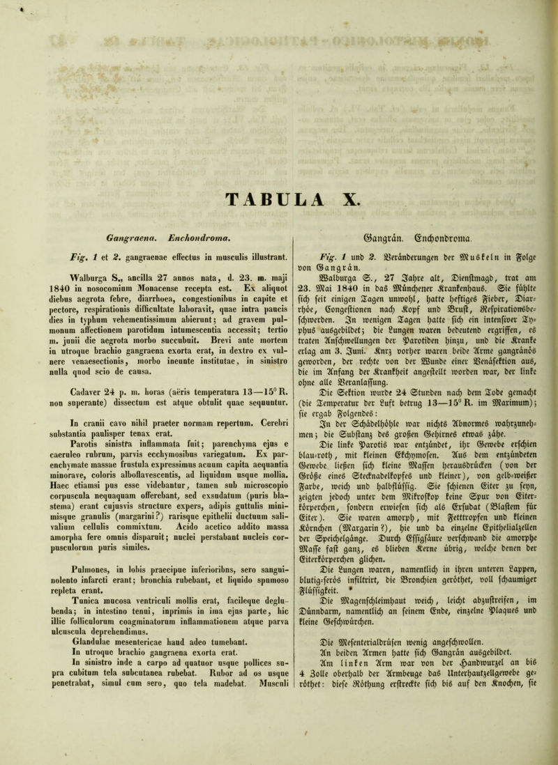 Gangraena. Enchondroma. Fig, 1 et 2, gangraenae efFectus in musculis illustrant. Walburga S„ ancilla 27 annos nata, d. 23. in. maji 1840 in nosocomium Monacense recepta est. Ex aliquot diebus aegrota febre^ diarrhoea, congestionibus in cajnte et pectore, respirationis difficultate laboravit, quae intia paucis dies in typhum vebementissimum abierunt; ad gravem pul- monum allectionem parotidum intumescentia accessit; tertio m. junii die aegrota morbo succubuit. Brevi ante mortem in utroque brachio gangraena exorta erat, in dextro ex vul- nere venaesectionis, morbo ineunte institutae, in sinistro nulla quod scio de causa. Cadaver 24 p. m. horas (aeris temperatura 13—15°R. non superante) dissectum est atque obtulit quae sequuntur. In cranii cavo nihil praeter normam repertum. Cerebri substantia paulisper tenax erat. Parotis sinistfa inflammata fuit; parenchyma ejus e caeruleo rubrum, parvis ecchymosibus variegatum. Ex par- enchymate massae frustula expressimus acuum capita aequantia minorave, coloris alboflavescentis, ad liquidum usque mollia. Haec etiamsi pus esse videbantur, tamen sub microscopio corpuscula nequaquam oflerebant, sed exsudatum (puris bla- stema) erant cujusvis structure expers, adipis guttulis mini- misque granulis (margarini?) rarisque epithelii ductuum sali- valium cellulis commixtum. Acido acetico addito massa amorpha fere omnis disparuit; nuclei perstabant nucleis cor- pusculorum puris similes. Pulmones, in lobis praecipue inferioribns, sero sangui- nolento infarcti erant; bronchia rubebant, et liquido spumoso repleta erant. Tunica mucosa ventriculi mollis erat, facileque deglu- benda; in intestino tenui, inprimis in ima ejus parte, hic illic folliculorum coagminatorum inflammationem atque parva ulcuscula deprehendimus. Glandulae mesentericae haud adeo tumebant. In utroque brachio gangraena exorta erat. In sinistro inde a carpo ad quatuor usque pollices su- pra cubitum tela subcutanea rubebat. Rubor ad os usque penetrabat, simul cum sero, quo tela madebat. Musculi ©angrdn. ©nc^onbromo. Fig. 1 unb 2. SJerdnbecungen ber ÜJtuSfeln in SolQf non ©angrdn. SBalburga 27 ait, S)ien|tma9b, trat am 23. SD?ai 1840 in bag Sö?ünd)ener Äranfenljaug. @ie füllte ftd) feit einigen Sagen unmobt/ l;eftigeg lieber, ®iar= rl)6e, ßongefiionen nad; Äopf unb Srufl, 3?efpirationöbe= fdjmerben. Sn wenigen Sagen Ijatte fid) ein intenfioer Sp= pbuö auggcbilbet; bie Sungen waren bebeutenb ergriffen, eg traten 2tnfd)wellungen ber ^arotiben binju, unb bie .franfe erlag am 3. Suni. Änrj oorfier waren beibe 3(rmc gangrdnoe geworben, ber red)te non ber SBunbc einer SSendfeftion aug, bie im 3fnfang ber .tran!l)eif angeilellt worben war, ber linfc oljne alle SSeranlaffung. 3^ie ©eftion würbe 24 0tur.ben nad) bem Sobe gemadyt (bie Semperatur ber 2uft betrug 13—15°R. im 91tarimum); fie ergab golgenbeg: Sn ber 0d)dbell)6^tc war nid)tg Tfbnormeg wal;rjunel): men; bie ©ubflanj beg grofen @el)irneg etwag jdl)e. ®ie linfe ^arotig war entjünbet, i\)t ©ewebc erfd)ien blau^rotl), mit fleinen ©fd)pmofen. 2fug bem entjunbeten ©ewebe liefen fid) fleine üDtaffen Ijeraugbrurfen (oon ber @rope eineg 0tecfnabelfopfeg unb fleiner), oon gelb^weifer ^arbe, weid) unb Ijalbfluffig. 0ie fd)ienen Siter ju fepn, geigten jebod^ unter bem SOlifroffop feine 0pur oon @iter- forper(^en, fonbern erwiefen fid^ alg ©rfubat (S5laftem für @iter). 0ie waren amorpl), mit getttropfen unb fleinen .^orn^en (SDlargarin ?), l)ie unb ba einjelne ßpitl)elialgeUen ber 0peid)elgdnge. ®urc^ (Sffigfdure oerf(^wanb bie amorpl)e 9)taffe fajl gang, eg blieben Äerne übrig, weld)e benen ber (Siterf6rperd)en glid)en. Die fiungen waren, namentlid) in il)ren unteren Cappen, blutig=fct^6g infiltrirt, bie 93rond)ien gerötl)et, ooll fd)aumiger gluffigfeit. • Die 9Ragenfd)leimt)aut weid), leid)t abguflreifen, im Dunnbarm, namentlid) an feinem @nbe, eingelne ^laqueg unb fleine @efd)wurd)en. Die SOtefenterialbrüfen wenig angefc^wollen. 3fn beiben 2trmen l)atte fid) ©angrdn auggebilbet. 2Cm linfen 2frm war oon ber .^anbwurgel an big 4 Solle oberl)alb ber 2frmbeuge bag Unterl)autgellgewebe ge= rotl)et: biefe 9?6tl)ung erjlrecfte fid) big auf ben Änod)en, fie f