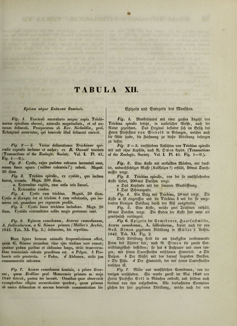 Eptzoa atque Entozoa Bornims, Eig, 1. Fascicnii incsCulares magna'copia Tricbi- narnm spiralium obsessi, natnralis magnitudinis, et ad na- turam delineati. Praeparatum ab Exc. SteboldtOy prof. Erlangensi asservatur, qui benevole illud delineari curavit. Fig. 2 — 3. Variae delineationes Trichinae spi- ralis capsulis inclusae et nudae; ex R, Owenii tractatu (Transactions of tbc Zoologie. Society. Vol. I. Pl. 41. Fig. 1—9.). Fig. 2. Cystis, cujus parietes calcarea incrustati sunt, massa fusca opaca (salibus calcareis.?) referti. Magnit. 20 diam. Fig. 3. Tricbina spiralis, ex cystide, qua inclusa fuerat, exemta. Magn. 200 diam. a. Extremitas capitis, cum ostio oris lineari. b. Extremitas caudae. Fig. 4. Cystis cum tricbina. Magnit. 20 diam. Cystis a disrnpta est et tricbina b cum substantia, qua im- mersa est, granulosa per rupturam prodiit. Fig. 5. Cystis binas trichinas includens. Magn. 20 diam. Cystidis extremitates solito magis protensae sunt. Fig. 6. Epizoon comedonum, Acarus comedonum^ A. folliculorum, a G. Simon primum (Müller's Archiv, 1842. Tab. XI. Fig, 2.) delineatus, bic repetitus. Haec figura formam animalis frequentissimam offert, quam G. Simon secundum vitae ejus stadium esse censet; quatnor pedum paribus et abdomine longo, striis transversa- libus tenuissimis sulcato praeditum est. a Palpae. b Pro- boscis setis praetexta. c Pedes, d Abdomen, striis jam commemoratis sulcatum. Fig. 7. Acarus comedonum bominis, a priore diver- sus , quem Erdlius prof. Monacensis primum m. majo 1840 detexit, j)ostea ter invenit. Omnibus quae observavit exemplaribus effigies accuratissime quadrat, quam primum ab amico delineatam et mecum benevole communicatam bic ^))i§oen unb ©ntogeen bcö S)^enfc|)en. Fig, 1, SOinSfefbunbel mit einer großen üon Tricbina spiralis befe|t, in natrirli(^er @rope, na(^ ber 9?atur ge5eid)net. Original befinbet fid) im S3eft| beg .^errn ^rofe|jforö von (Siebolb in Erlangen, mefd^er auc^ bie @üte i)atte, bie 3eid^nung ju biefer 3fbbiibung beforgen SU faffen. Eig. 2 ~ 5. üerfc^iebene 2(nfid)ten non Tricbina spiralis mit unb o^ne ^^apfefn, nad) 5R. Omen fopirt. (Transactions of tbe Zoologie. Society. Vol. I. Pl. 41. Fig. 1—9.). Fig, 2. @ine Äpfte mit nerfafften Sßdnben, mit bunf= ler, unburd)ft(^tiger 5>)ta|fe (Äatffafsen ?) erfüllt, 20mal ^urcl)= meffer »ergr. Fig. 3. Tricbina spiralis, non ber fte umfd)liepenben .^pfte ifolirt, 200 mal S)urc^m. nergr. a Äopfenbe mit ber linearen SUunboffnung. b ^aö 0d()mansenbe. Fig. 4. @in Saig mit Tricbina, 20 mal nergr. S5ie Äpfte a ift eingeriffen unb bie Tricbina b mit ber fte umge= benben fornigen «Subftans burc^ ben 9?ip ausgetreten. Fig. 5. Qine .^pfte, welche jmei Srit^inen enthalt, 20 mal 2)urc^m. nergr. S)ie @nben ber Äpfte ftnb me^r als gem6l)nlid) nerldngert. Fig. 6. ßpisoen ber 6omebonen,.^aarfacbmilbe, Acarus comedonum, A. folliculorum, fopirt naep ber non ©uft. «Simon gegebenen 3(bbilbung in 9)1 ul ler’S 2frd)in. 1842. Tab. XI. Fig. 2. ®iefe 2Cbbilbung ftellt bie am pdufigften norfommenbe gorm beS SIpiereS bar, naep ®. Simon bie jmeite @nt= mitfclungSfiufe beffelben; fte pat 4 guppaare unb einen lan= gen, mit feinen Slueerjlreifen nerfepenen .^interleib. a $Die Palpen, b ®er S?u|fel mit ben barauf liegenben Sorjlen. c ®ie §upe. d S)er Hinterleib, ber mit feinen £lueer(treifen nerfepen ijl. Fig. 7. 9)Zilbe auS menft^lidpen ßomebonen, non ber norigen nerfepieben. Sie mürbe juerft im 9)?ai 1840 non Herrn ^rofeffor @rbl in SJtundpen entbeeft, unb feitbem nodp breimal non ipm aufgefunben. ?fUe beobadpteten ©remplare glid)en ber pier gegebenen 2Cbbilbung, meldpe nadp ber non