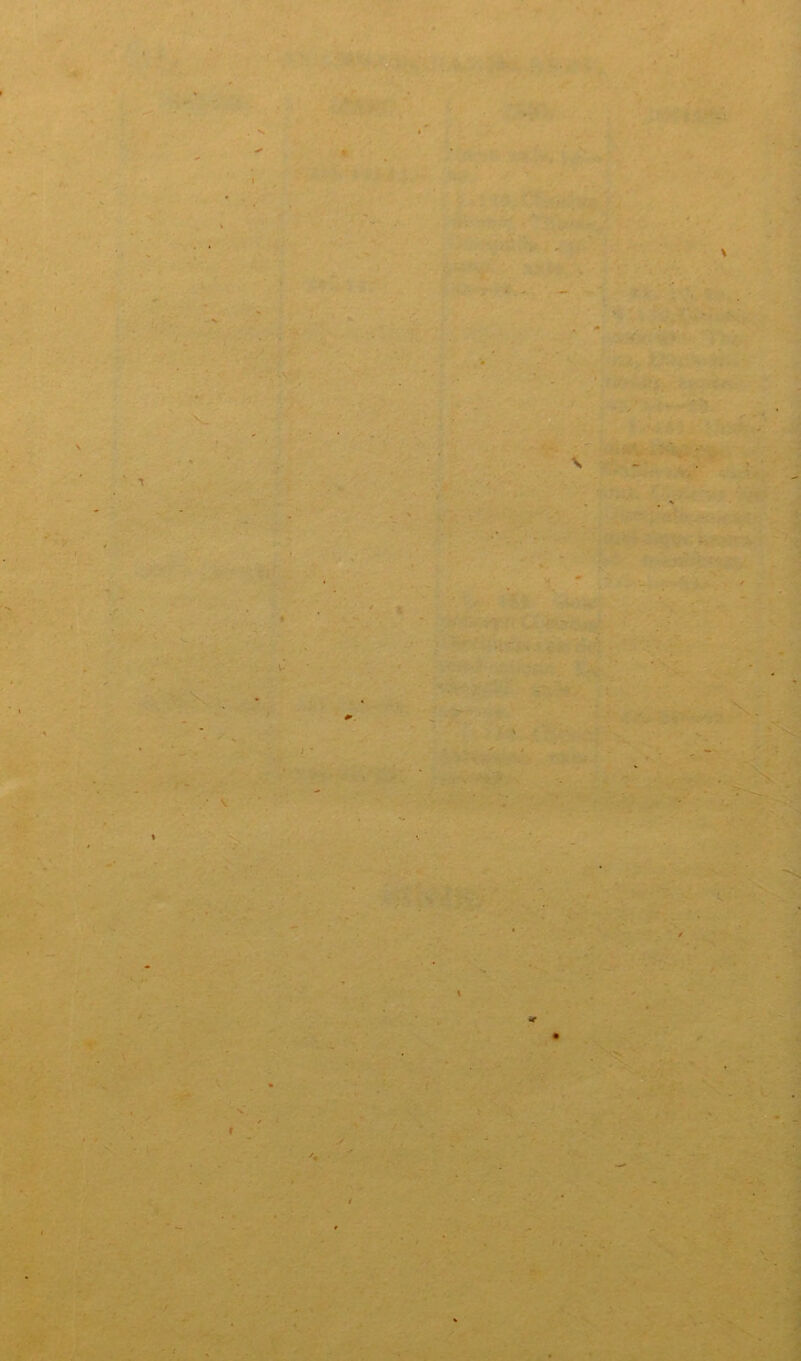 \ N ' *.-« •  - uv Vw: & ■ Bj. ’jS V * \ • v •r