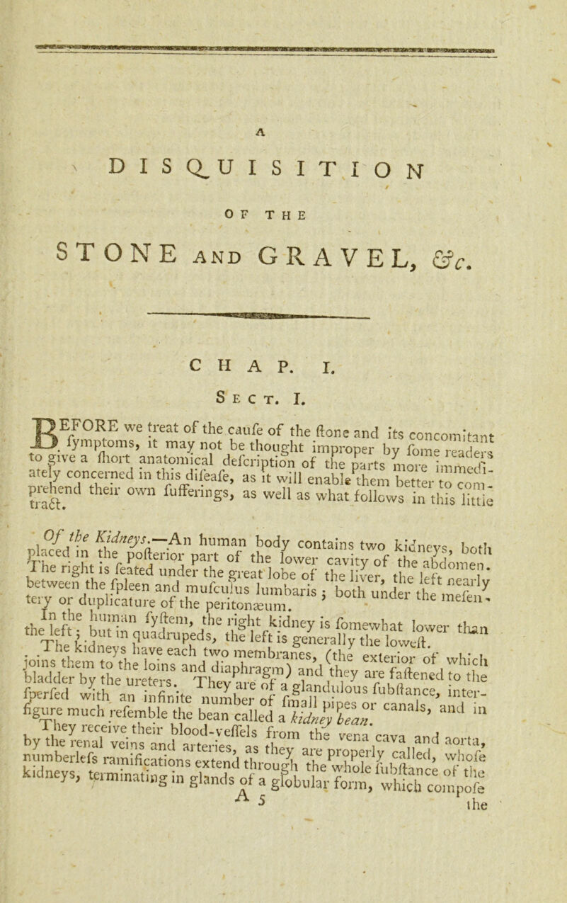 A DISQUISITION / OF THE STONE and GRAVEL, &c. CHAP. I. Sect. I. BEFORE we treat of the caufe of the Hone and its concomitant . fymptoms, it may not be thought improper by fome readers to give a fhort anatomical clefcription of the parts more immed ate y concerned in this difeafe, as it will enable them better to ron ' pa-hend their own fuffenngs, as well as what follows in this little Of the Kidneys.—An human body contains two kidneys both thekft® but1inn^,^^em, ^ '^kidney ^ Wwhat lower than 'T'hU’A ,q ruP,ed3) the left 1S generally the Weft . ^e kidneys.have each two membranes, (the exterior of whiVE hadder^ the* Urete'rs8 alSAaPhraSIn) and they are^aftened to'the fperfed Jith an infinite number of T figure much referable the bean called a tidal, bean. ’ 1 m A 5 1