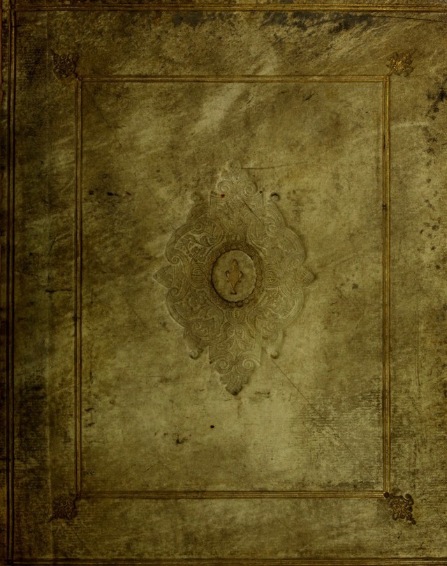 No text description is available for this image