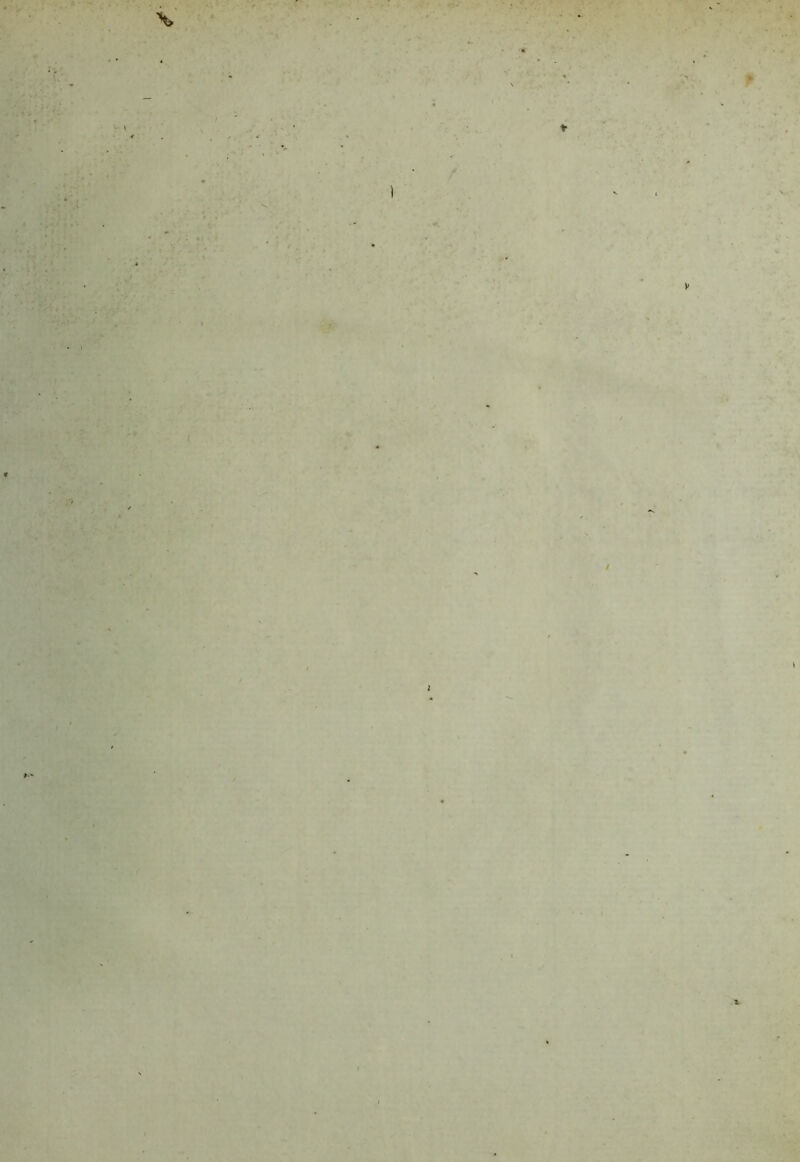 • 'Tv » * • ' • 1 # P ' l * * ■