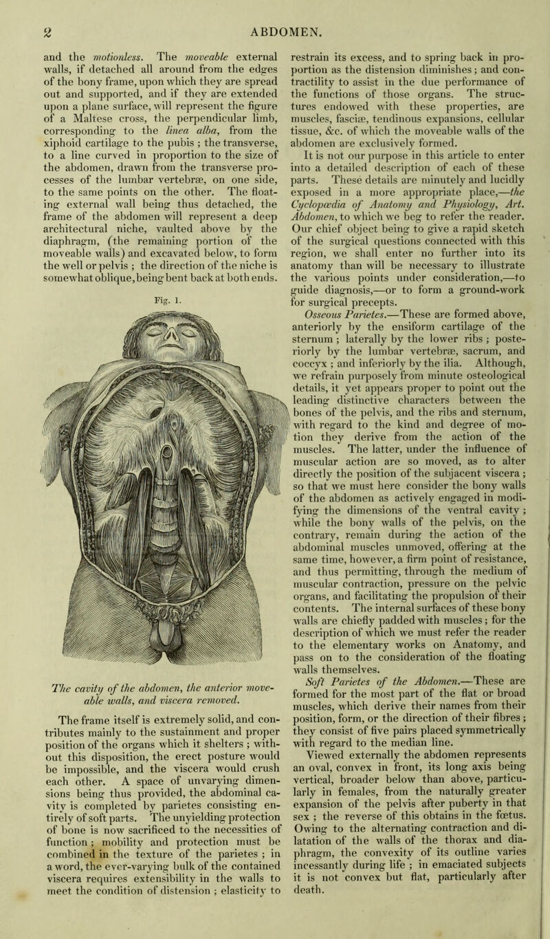 and the motionless. The moveable external walls, if detached all around from the edges of the bony frame, upon which they are spread out and supported, and if they are extended upon a plane surface, will represent the figure of a Maltese cross, the perpendicular limb, corresponding to the linea alba, from the xiphoid cartilage to the pubis ; the transverse, to a line curved in proportion to the size of the abdomen, drawn from the transverse pro- cesses of the lumbar vertebrae, on one side, to the same points on the other. The float- ing external wall being thus detached, the frame of the abdomen will represent a deep architectural niche, vaulted above by the diaphragm, (the remaining portion of the moveable walls) and excavated below, to form the well or pelvis ; the direction of the niche is somewhat oblique, being bent back at both ends. Fig. 1. The cavity of the abdomen, the anterior move- able walls, and viscera removed. The frame itself is extremely solid, and con- tributes mainly to the sustainment and proper position of the organs which it shelters ; with- out this disposition, the erect posture would be impossible, and the viscera would crush each other. A space of unvarying dimen- sions being thus provided, the abdominal ca- vity is completed bv parietes consisting en- tirely of soft parts. The unyielding protection of bone is now sacrificed to the necessities of function; mobility and protection must be combined in the texture of the parietes ; in a word, the ever-varying bulk of the contained viscera requires extensibility in the walls to meet the condition of distension ; elasticity to restrain its excess, and to spring back in pro- portion as the distension diminishes; and con- tractility to assist in the due performance of the functions of those organs. The struc- tures endowed with these properties, are muscles, fasciae, tendinous expansions, cellular tissue, &c. of which the moveable walls of the abdomen are exclusively formed. It is not our purpose in this article to enter into a detailed description of each of these parts. These details are minutely and lucidly exposed in a more appropriate place,—the Cyclopaedia of Anatomy and Physiology, Art. Abdomen, to which we beg to refer the reader. Our chief object being to give a rapid sketch of the surgical questions connected with this region, we shall enter no further into its anatomy than will be necessary to illustrate the various points under consideration,—to guide diagnosis,—or to form a ground-work for surgical precepts. Osseous Parietes.—These are formed above, anteriorly by the ensiform cartilage of the sternum ; laterally by the lower ribs ; poste- riorly by the lumbar vertebrae, sacrum, and coccyx ; and inferiorly by the ilia. Although, we refrain purposely from minute osteological details, it yet appears proper to point out the leading distinctive characters between the H bones of the pelvis, and the ribs and sternum, if with regard to the kind and degree of mo- jj! tion they derive from the action of the J muscles. The latter, under the influence of muscular action are so moved, as to alter directly the position of the subjacent viscera; so that we must here consider the bony walls of the abdomen as actively engaged in modi- fying the dimensions of the ventral cavity ; while the bony walls of the pelvis, on the contrary, remain during the action of the abdominal muscles unmoved, offering at the same time, however, a firm point of resistance, and thus permitting, through the medium of muscular contraction, pressure on the pelvic organs, and facilitating the propulsion ol their contents. The internal surfaces of these bony walls are chiefly padded with muscles; for the description of which we must refer the reader to the elementary works on Anatomy, and pass on to the consideration of the floating walls themselves. Soft Parietes of the Abdomen.—These are formed for the most part of the flat or broad muscles, which derive their names from their position, form, or the direction of their fibres; they consist of five pairs placed symmetrically with regard to the median line. Viewed externally the abdomen represents an oval, convex in front, its long axis being vertical, broader below than above, particu- larly in females, from the naturally greater expansion of the pelvis after puberty in that sex ; the reverse of this obtains in the foetus. Owing to the alternating contraction and di- latation of the walls of the thorax and dia- phragm, the convexity of its outline varies incessantly during life ; in emaciated subjects it is not convex but flat, particularly after death.