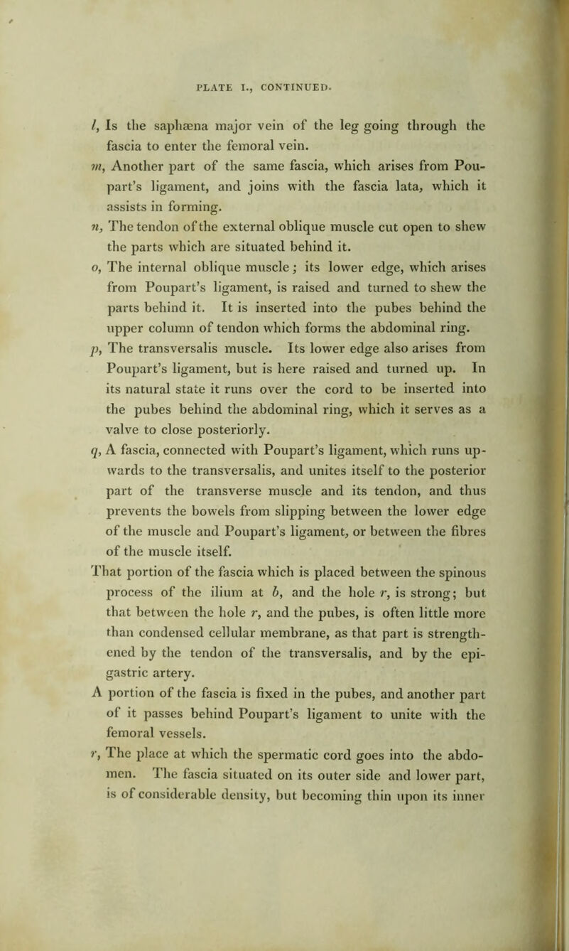 /, Is the saphaena major vein of the leg going through the fascia to enter the femoral vein. 7ii, Another part of the same fascia, which arises from Pou- part’s ligament, and joins with the fascia lata, which it assists in forming. 71, The tendon of the external oblique muscle cut open to shew the parts which are situated behind it. o, The internal oblique muscle; its lower edge, which arises from Poupart’s ligament, is raised and turned to shew the parts behind it. It is inserted into the pubes behind the upper column of tendon which forms the abdominal ring. /;, The transversalis muscle. Its lower edge also arises from Poupart’s ligament, but is here raised and turned up. In its natural state it runs over the cord to be inserted into the pubes behind the abdominal ring, which it serves as a valve to close posteriorly. q, A fascia, connected with Poupart’s ligament, which runs up- wards to the transversalis, and unites itself to the posterior part of the transverse muscle and its tendon, and thus prevents the bowels from slipping between the lower edge of the muscle and Poupart’s ligament, or between the fibres of the muscle itself. That portion of the fascia which is placed between the spinous process of the ilium at b, and the hole r, is strong; but that between the hole r, and the pubes, is often little more than condensed cellular membrane, as that part is strength- ened by the tendon of the transversalis, and by the epi- gastric artery. A portion of the fascia is fixed in the pubes, and another part of it passes behind Poupart’s ligament to unite with the femoral vessels. r, The place at which the spermatic cord goes into the abdo- men. The fascia situated on its outer side and lower part, is of considerable density, but becoming thin upon its inner