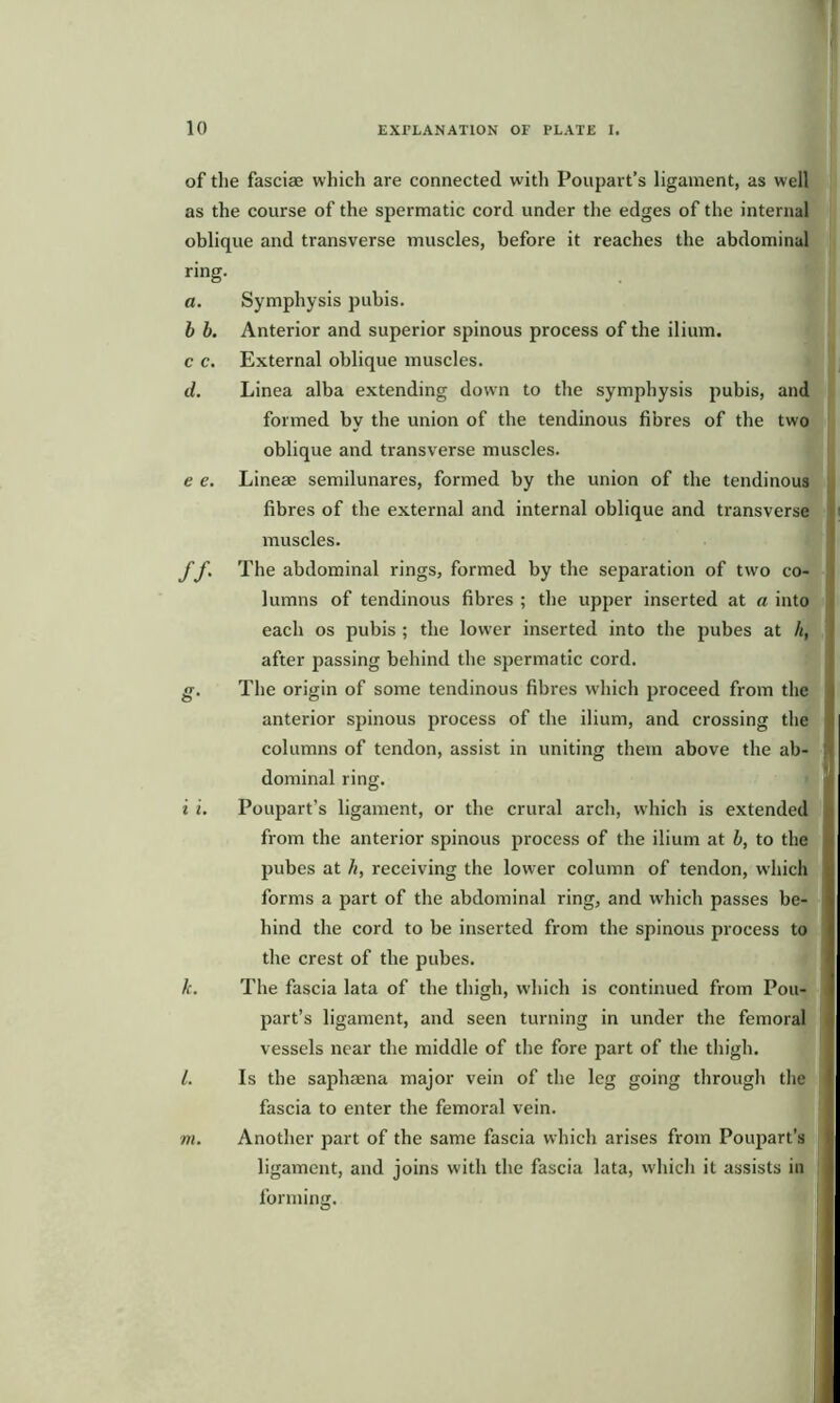 of the fasciae which are connected witli Poupart’s ligament, as well as the course of the spermatic cord under the edges of the internal oblique and transverse muscles, before it reaches the abdominal ring. a. Symphysis pubis. b b. Anterior and superior spinous process of the ilium, c c. External oblique muscles. d. Linea alba extending down to the symphysis pubis, and formed by the union of the tendinous fibres of the two oblique and transverse muscles. e e. Lineae semilunares, formed by the union of the tendinous fibres of the external and internal oblique and transverse muscles. f f. The abdominal rings, formed by the separation of two co- lumns of tendinous fibres ; the upper inserted at a into each os pubis ; the lower inserted into the pubes at It, after passing behind the spermatic cord. g. The origin of some tendinous fibres which proceed from the anterior spinous process of the ilium, and crossing the columns of tendon, assist in uniting them above the ab- dominal ring. i i. Poupart’s ligament, or the crural arch, which is extended from the anterior spinous process of the ilium at b, to the pubes at h, receiving the lower column of tendon, which forms a part of the abdominal ring, and which passes be- hind the cord to be inserted from the spinous process to the crest of the pubes. k. The fascia lata of the thigh, which is continued from Pou- part’s ligament, and seen turning in under the femoral . vessels near the middle of the fore part of the thigh. l. Is the saphaena major vein of the leg going through the j fascia to enter the femoral vein. m. Another part of the same fascia which arises from Poupart’s ! ligament, and joins with the fascia lata, which it assists in forming.
