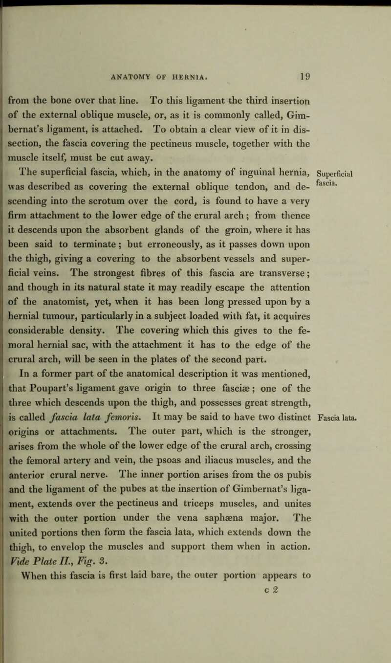 from the bone over that line. To this ligament the third insertion of the external oblique muscle, or, as it is commonly called, Gim- bernat’s ligament, is attached. To obtain a clear view of it in dis- section, the fascia covering the pectineus muscle, together with the muscle itself, must be cut away. The superficial fascia, which, in the anatomy of inguinal hernia. Superficial was described as covering the external oblique tendon, and de- fascia’ i scending into the scrotum over the cord, is found to have a very firm attachment to the lower edge of the crural arch; from thence it descends upon the absorbent glands of the groin, where it has been said to terminate; but erroneously, as it passes down upon the thigh, giving a covering to the absorbent vessels and super- ficial veins. The strongest fibres of this fascia are transverse; and though in its natural state it may readily escape the attention I of the anatomist, yet, when it has been long pressed upon by a hernial tumour, particularly in a subject loaded with fat, it acquires considerable density. The covering which this gives to the fe- moral hernial sac, with the attachment it has to the edge of the crural arch, will be seen in the plates of the second part. In a former part of the anatomical description it was mentioned, that Poupart’s ligament gave origin to three fasciae; one of the three which descends upon the thigh, and possesses great strength, is called fascia lata femoris. It may be said to have two distinct Fascia lata, origins or attachments. The outer part, which is the stronger, arises from the whole of the lower edge of the crural arch, crossing the femoral artery and vein, the psoas and iliacus muscles, and the anterior crural nerve. The inner portion arises from the os pubis and the ligament of the pubes at the insertion of Gimbernat’s liga- ment, extends over the pectineus and triceps muscles, and unites with the outer portion under the vena saphaena major. The united portions then form the fascia lata, which extends down the thigh, to envelop the muscles and support them when in action. Vide Plate II., Fig. 3. When this fascia is first laid bare, the outer portion appears to c 2