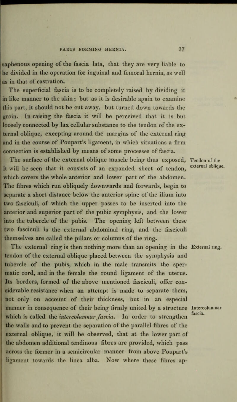 j saphenous opening of the fascia lata, that they are very liable to I be divided in the operation for inguinal and femoral hernia, as well | as in that of castration. The superficial fascia is to be completely raised by dividing it in like manner to the skin; but as it is desirable again to examine ; this part, it should not be cut away, but turned down towards the I groin. In raising the fascia it will be perceived that it is but loosely connected by lax cellular substance to the tendon of the ex- ternal oblique, excepting around the margins of the external ring and in the course of Poupart’s ligament, in which situations a firm connection is established by means of some processes of fascia. The surface of the external oblique muscle being thus exposed, Tendon of the it will be seen that it consists of an expanded sheet of tendon, external ob,ique’ which covers the whole anterior and lower part of the abdomen. The fibres which run obliquely downwards and forwards, begin to separate a short distance below the anterior spine of the ilium into two fasciculi, of which the upper passes to be inserted into the anterior and superior part of the pubic symphysis, and the lower into the tubercle of the pubis. The opening left between these two fasciculi is the external abdominal ring, and the fasciculi themselves are called the pillars or columns of the ring. The external ring is then nothing more than an opening in the External ring, tendon of the external oblique placed between the symphysis and tubercle of the pubis, which in the male transmits the sper- matic cord, and in the female the round ligament of the uterus. Its borders, formed of the above mentioned fasciculi, offer con- siderable resistance when an attempt is made to separate them, not only on account of their thickness, but in an especial manner in consequence of their being firmly united by a structure Intercolumnar • • • • ftlSCKU which is called the intercolumnar fascia. In order to strengthen the walls and to prevent the separation of the parallel fibres of the external oblique, it will be observed, that at the lower part of the abdomen additional tendinous fibres are provided, which pass across the former in a semicircular manner from above Poupart’s ligament towards the linea alba. Now where these fibres ap-