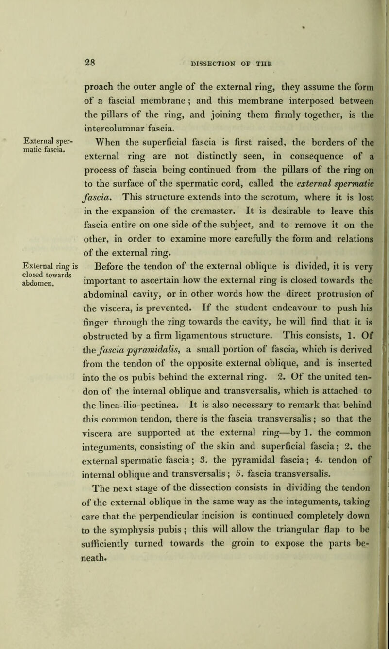 External sper- matic fascia. External ring i; closed towards abdomen. proach the outer angle of the external ring, they assume the form of a fascial membrane; and this membrane interposed between the pillars of the ring, and joining them firmly together, is the intercolumnar fascia. When the superficial fascia is first raised, the borders of the external ring are not distinctly seen, in consequence of a process of fascia being continued from the pillars of the ring on to the surface of the spermatic cord, called the external spermatic fascia. This structure extends into the scrotum, where it is lost in the expansion of the cremaster. It is desirable to leave this fascia entire on one side of the subject, and to remove it on the other, in order to examine more carefully the form and relations of the external ring. Before the tendon of the external oblique is divided, it is very important to ascertain how the external ring is closed towards the abdominal cavity, or in other words how the direct protrusion of the viscera, is prevented. If the student endeavour to push his finger through the ring towards the cavity, he will find that it is obstructed by a firm ligamentous structure. This consists, 1. Of the fascia pyramidalis, a small portion of fascia, which is derived from the tendon of the opposite external oblique, and is inserted into the os pubis behind the external ring. 2. Of the united ten- don of the internal oblique and transversalis, which is attached to the linea-ilio-pectinea. It is also necessary to remark that behind this common tendon, there is the fascia transversalis ; so that the viscera are supported at the external ring—by ]. the common integuments, consisting of the skin and superficial fascia; 2. the external spermatic fascia; 3. the pyramidal fascia; 4. tendon of internal oblique and transversalis; 5. fascia transversalis. The next stage of the dissection consists in dividing the tendon of the external oblique in the same way as the integuments, taking care that the perpendicular incision is continued completely down to the symphysis pubis; this will allow the triangular flap to be sufficiently turned towards the groin to expose the parts be- neath.