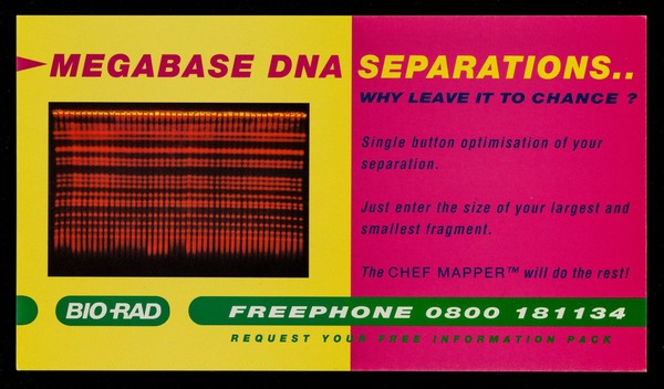 Megabase DNA separations.. : why leave it to chance? / Bio-Rad Laboratories Ltd.