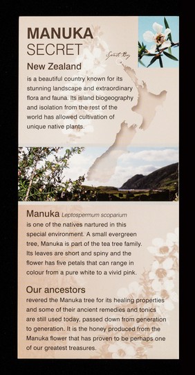 Pure manuka honey : product of New Zealand / Watson & Son ; distributed Planet Health.