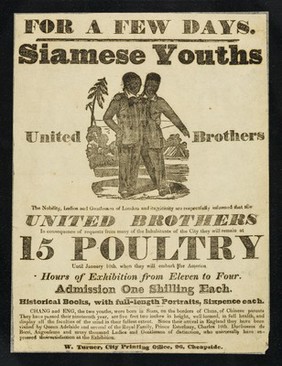 [Illustrated leaflet advertising appearances by "Siamese youths, united brothers", Chang and Eng, at 15 Poultry, London in their 19th year].