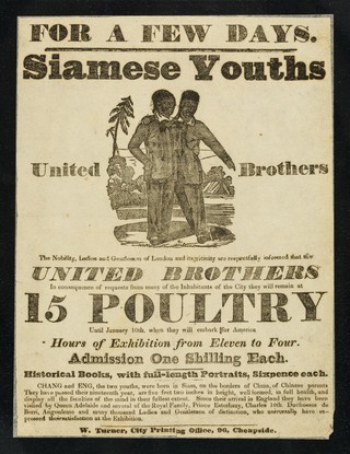 [Illustrated leaflet advertising appearances by "Siamese youths, united brothers", Chang and Eng, at 15 Poultry, London in their 19th year].