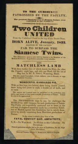 [Leaflet advertising appearances by "Two children united from the umbilical chord to the top of the breast bone", born January 1833 and being exhibited at 28 High Street, Bloomsbury, London with The Matchless Lamb (1 head, 2 bodies) and the Wonderful Kangaroo Pig (no fore legs)].