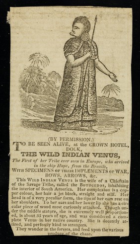 [Undated newspaper cutting (early 19th century?) about Dock, the Wild Indian Venus, a Brazilian of the Butucudos tribe with a lower lip plate and ear tips resting on her shoulders, to be seen "at the Crown Hotel".  ].