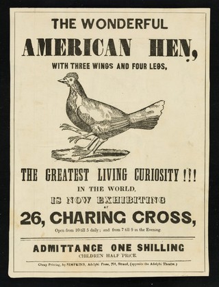 [Undated leaflet about The Wonderful American Hen with three wings and four legs, to be seen at 26 Charing Cross, London].