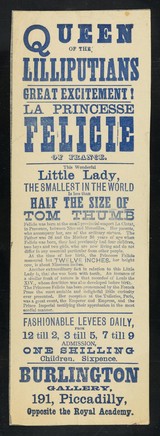 [Leaflet (1871) advertising appearances by La Princesse Felicie, Queen of the Lilliputians at the Burlington Gallery, 191 Piccadilly, London].