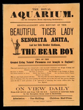 [Handbill on orange paper advertising appearances by Senorita Anita (The Tiger Lady) and her brother, Robinson (The Bear Boy) at the Royal Aquarium, London (27 October 1886?)].