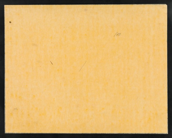 [Leaflet (1880?) advertising appearances by The Lilliputian Monarchs: the Australian General Tom Thumb and Commodore Knott at the Horns Assembly Rooms (Kennington, London, England). Printed on orange/yellow paper].