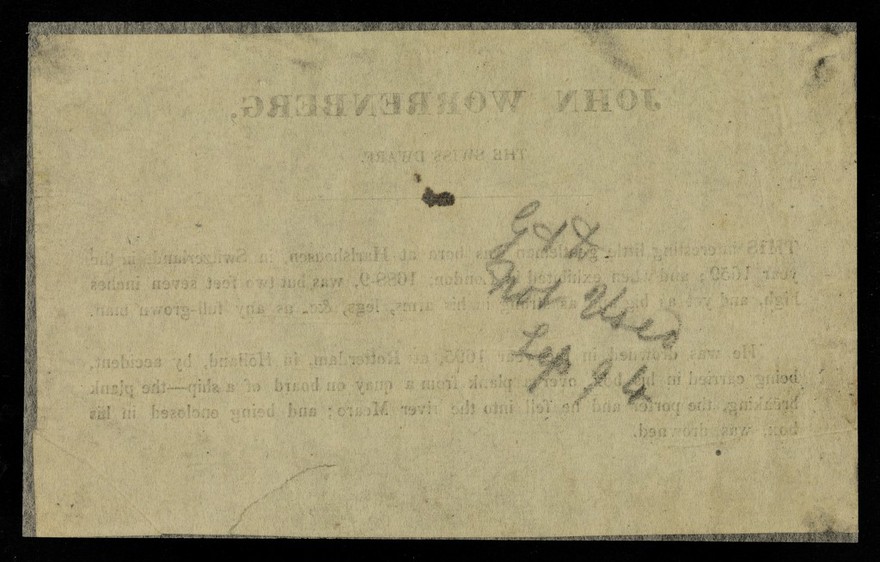 John Worrenberg, the Swiss dwarf.