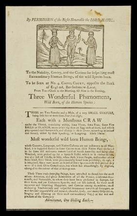 By permission of the Right Honorable the Lord Mayor : to the nobility, gentry, and the curious for inspecting most extraordinary human beings, of the wild species born ... three wonderful phoenomena ... each with a monstrous CRAW under the throat ...