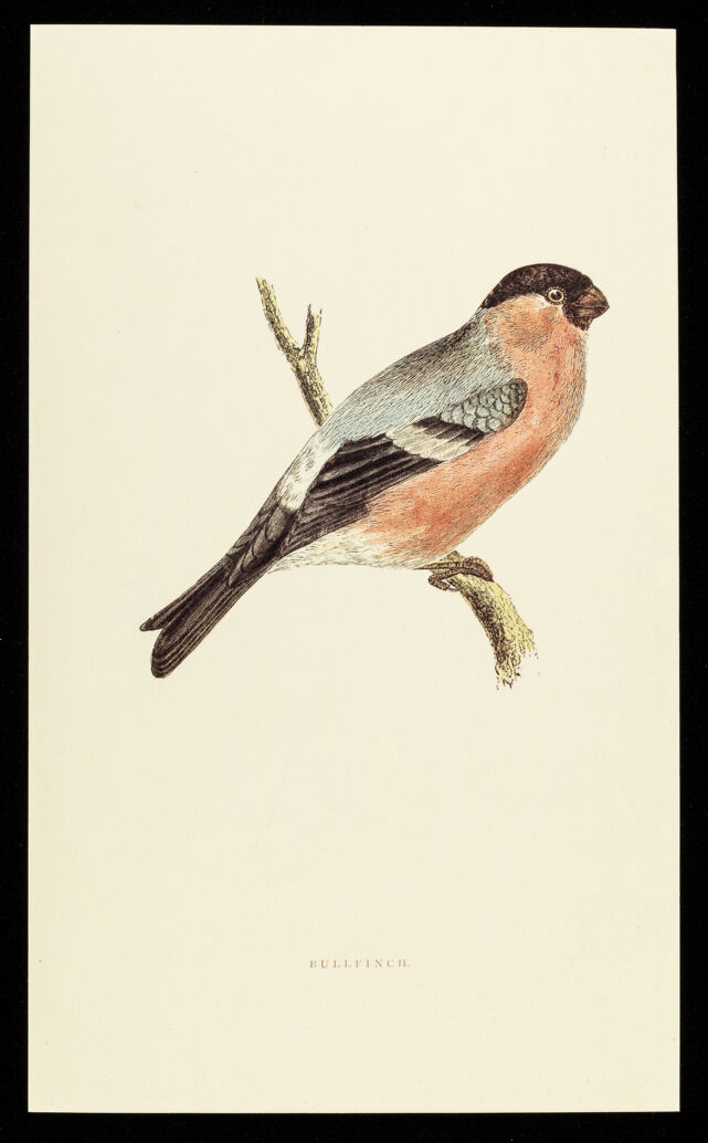 No text description is available for this image