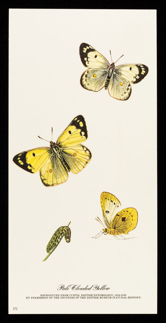 digitised image 1