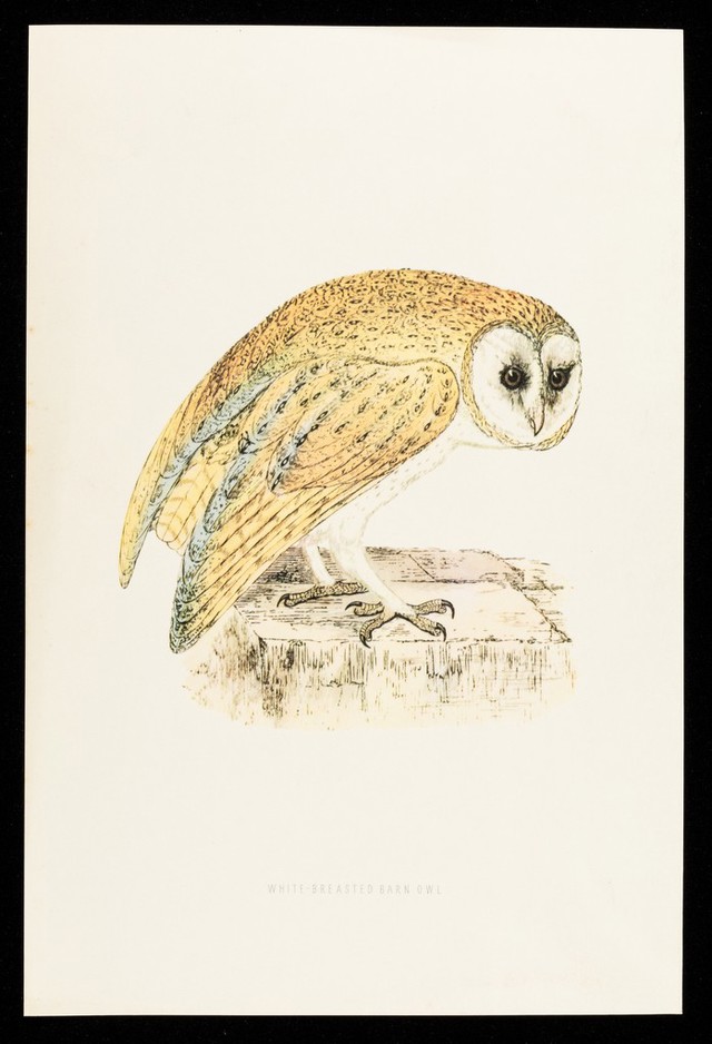 No text description is available for this image