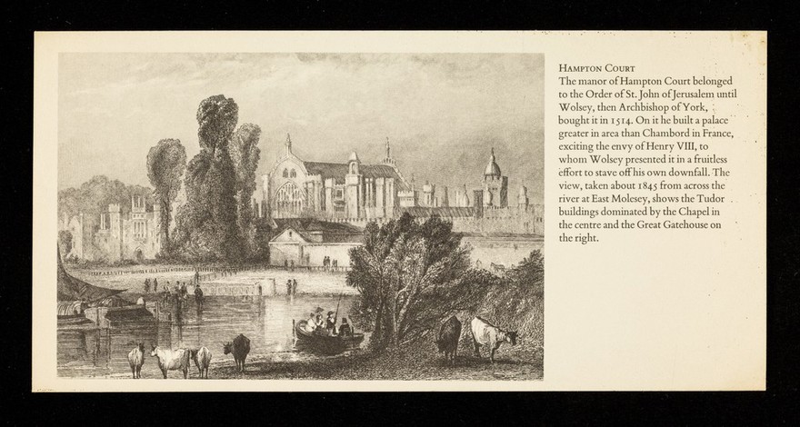 Whatever the allergy may be Piriton is the first choice antihistamine : Hampton Court.