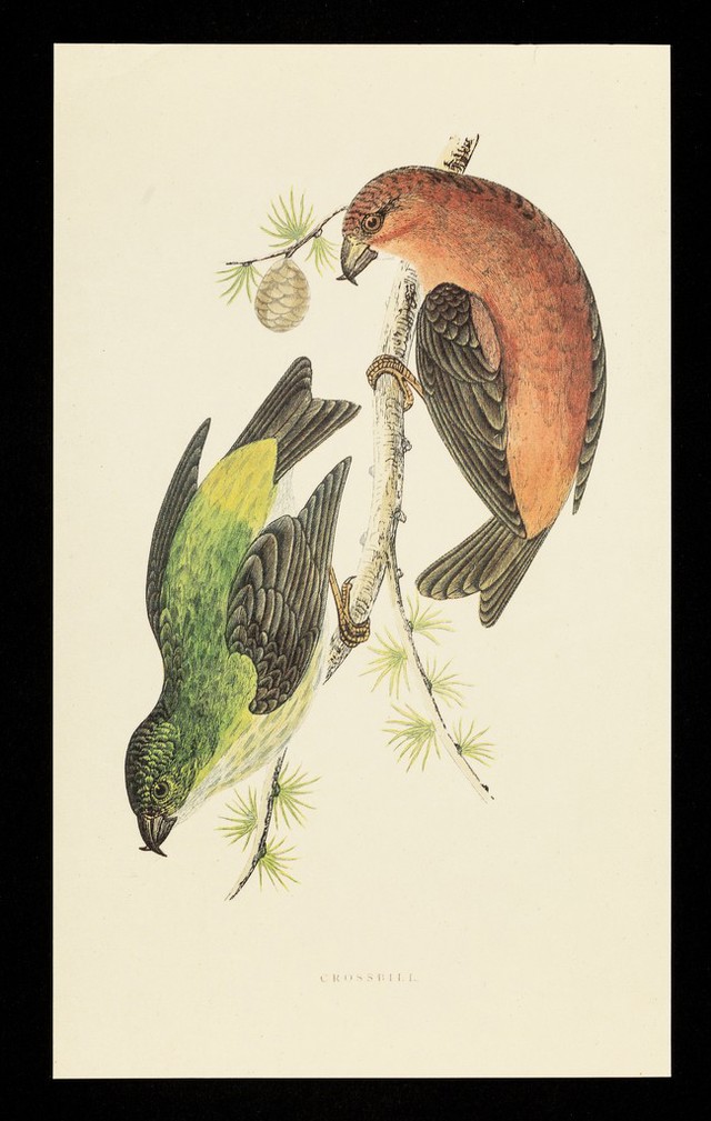 No text description is available for this image