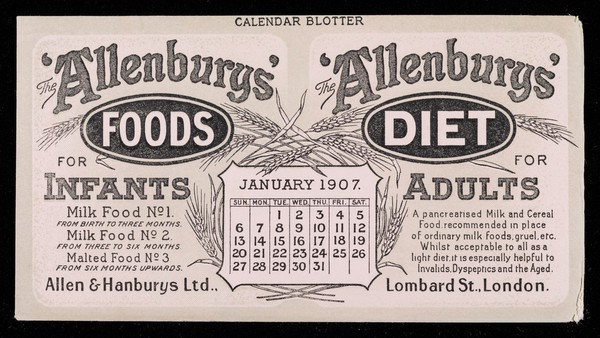 The 'Allenbury' Foods for infants : The 'Allenburys' Diet for adults : January 1907.