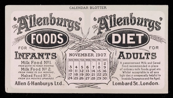 The 'Allenbury' Foods for infants : The 'Allenburys' Diet for adults : November 1907.