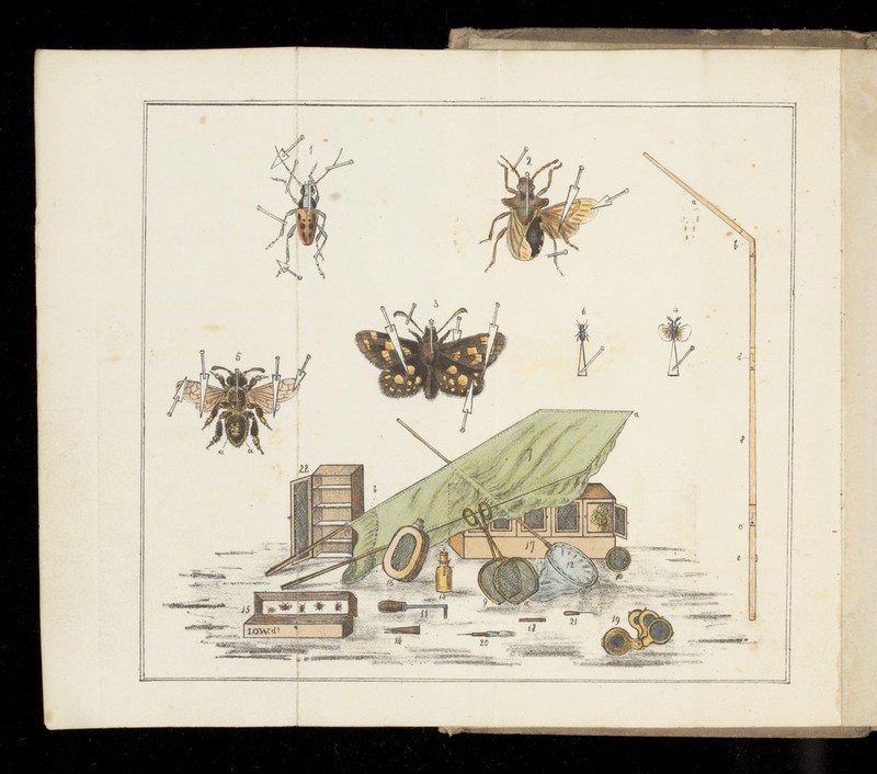 No text description is available for this image