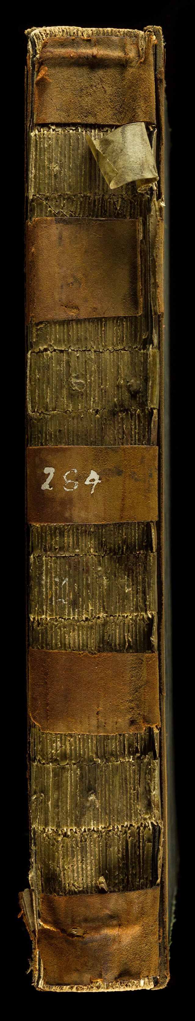 No text description is available for this image