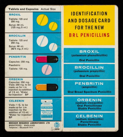 Identification and dosage card for the new BRL Penicillins.