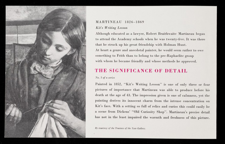 The significance of detail : Ferraplex B. 3, Martineau 1826-1869.