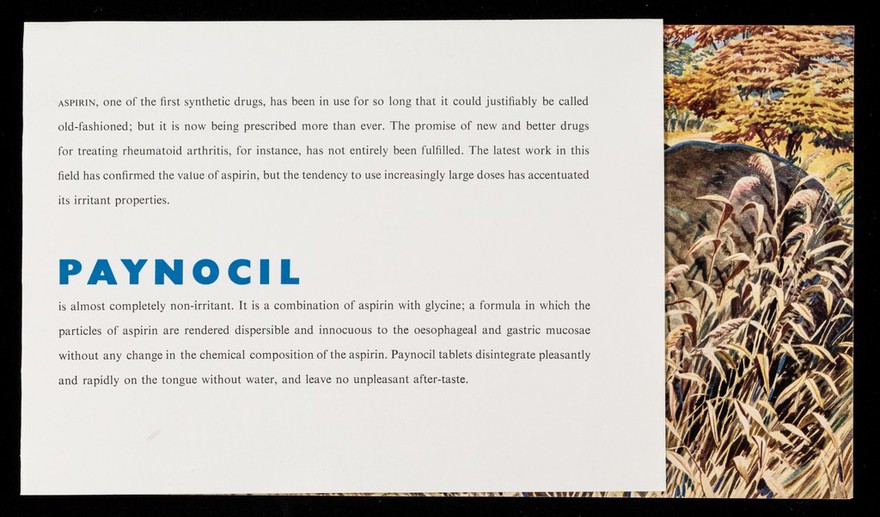 An unusual degree of tolerance ... Paynocil : the ox-pecker.