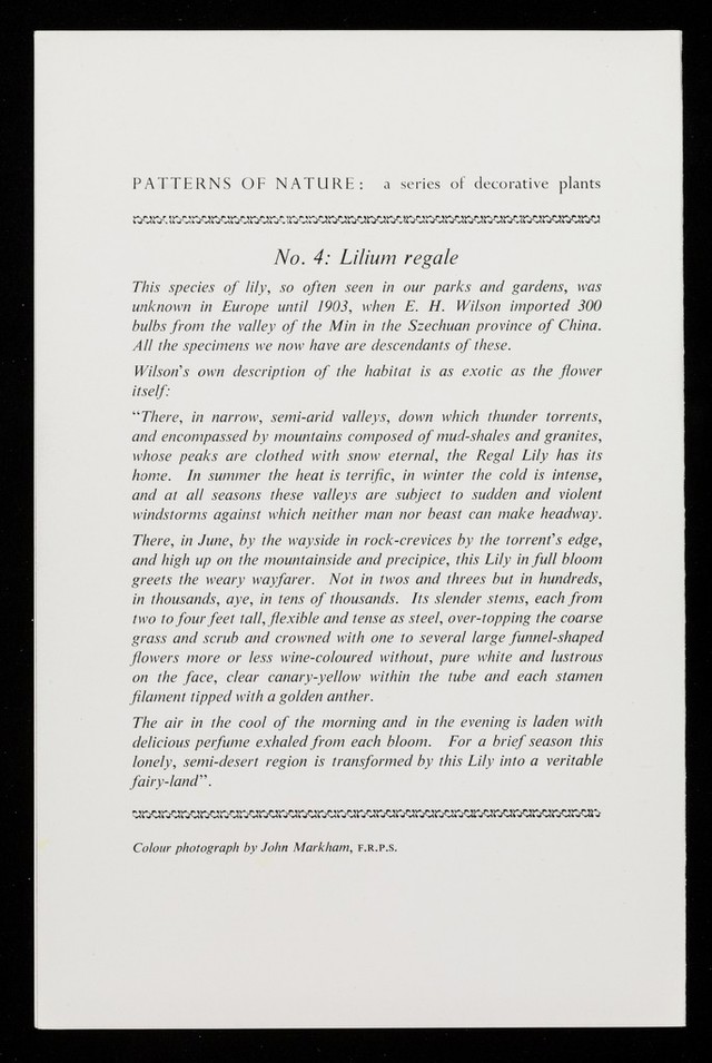 digitised image 2