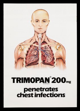 Trimopan 200mg penetrates chest infections.