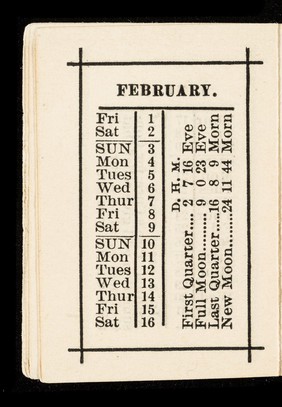 Hazeltine's pocket book almanac 1895 : 17th series / E. T. Hazeltine.