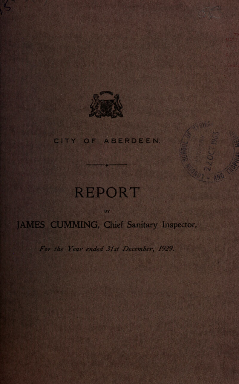 JAMES GUMMING, Chief Sanitary Inspector,