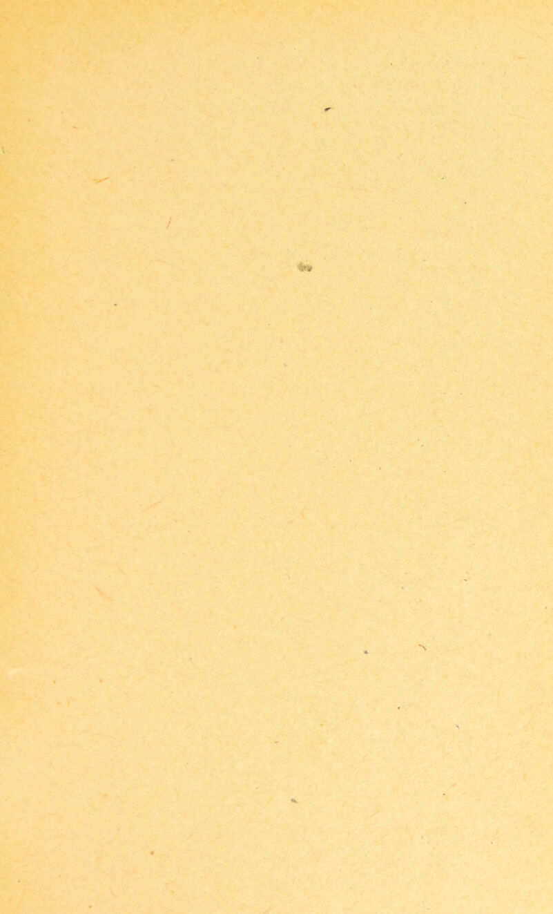 rv iL i V ; v;. 4. • < ^ ■ ts s f \ 'x r ' I */'■ i