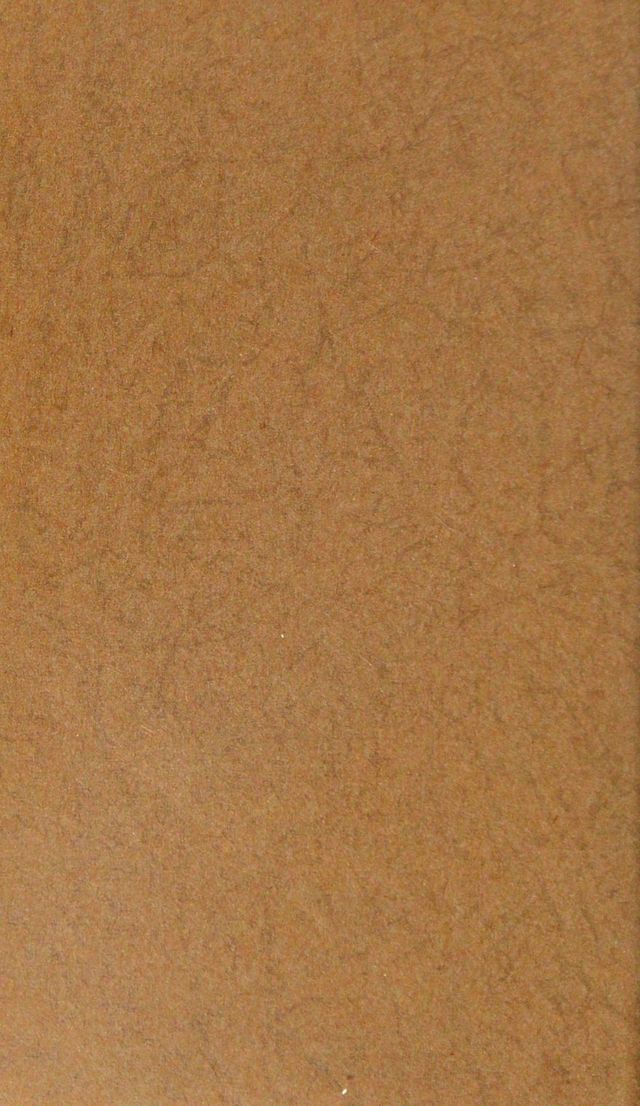 digitised image 2
