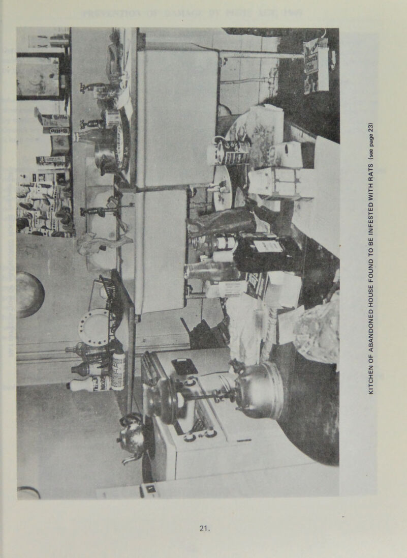 KITCHEN OF ABANDONED HOUSE FOUND TO BE INFESTED WITH RATS (see page 23)